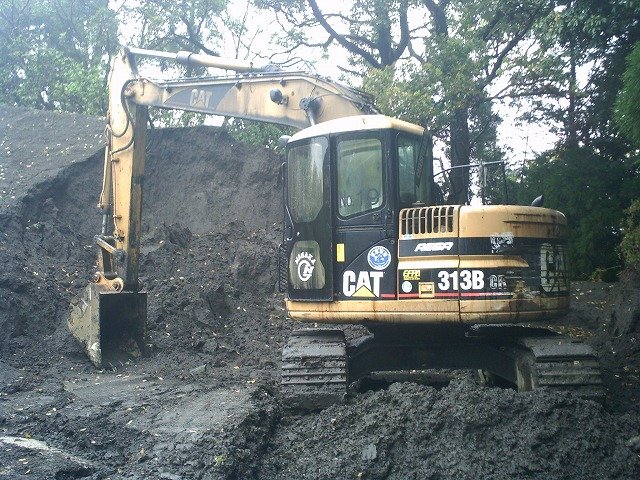 313BCR (AEX00124)