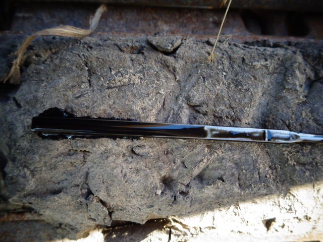 VIO30-6 (66385)