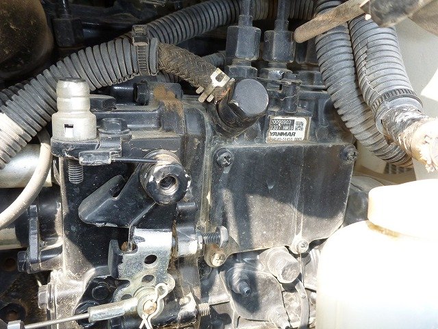 ViO17 (02954B)